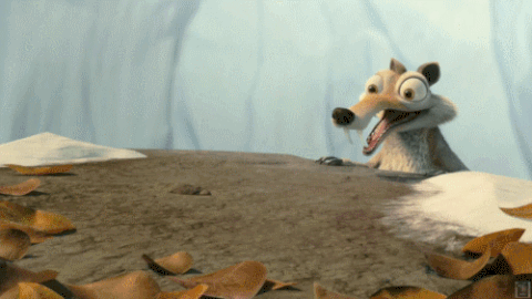 SunC.gif
