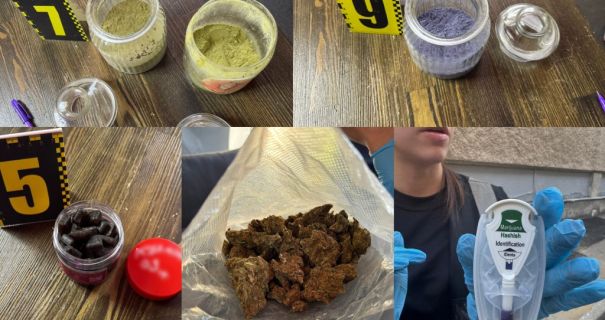 Супружескую пару из Одессы будут судить за сделки с наркотиками.jpg