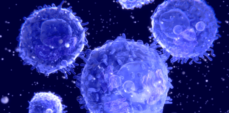 T-Limfociti-750x370.png