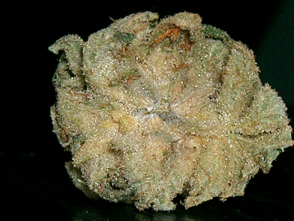 test2.jpg
