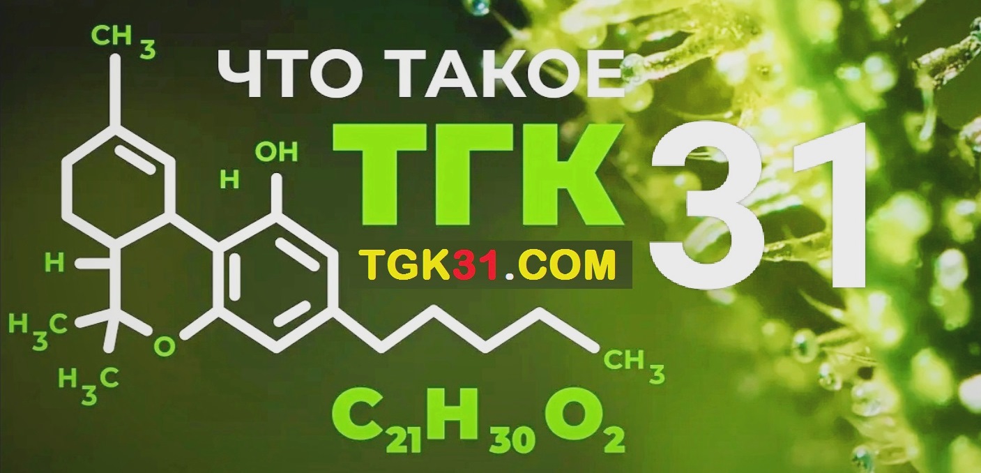 tgk31 com трип репортаж на гаш кладом в Киеве Вишневое 1.jpg