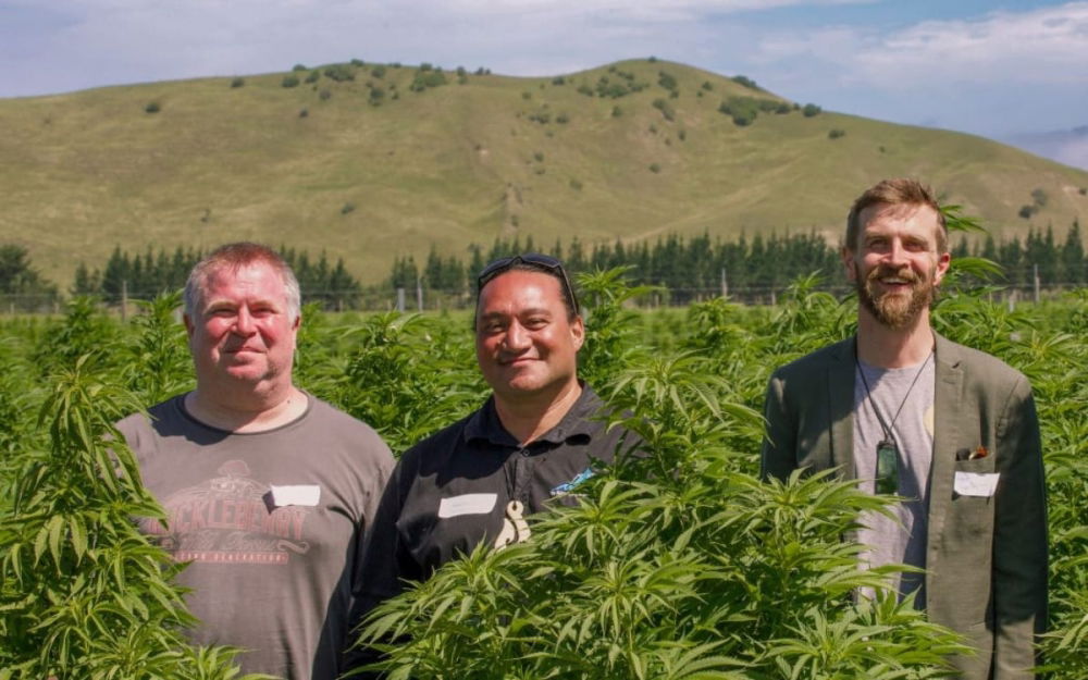 tom-forrest-cannabis-farm.thumb.jpg.fa214a68daef39295aeccc09e1aea6f8.jpg