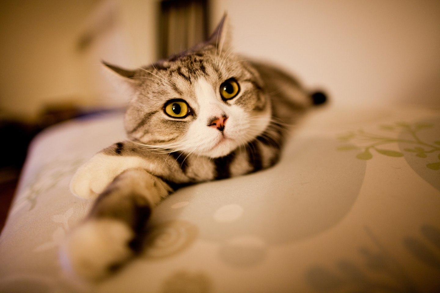 Tom Thai_So Boring_a0Rh.jpg