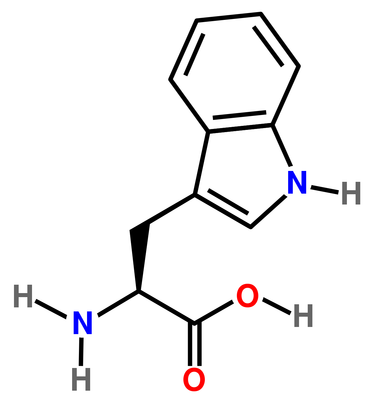 triptof.png