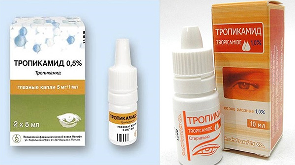 tropi1.png