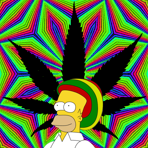 tumblr_mg84fs4hFP1rmz3qpo1_500.gif