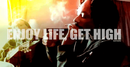 tumblr_mouufmQqmY1r8ps91o1_500.gif