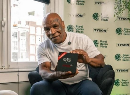 tyson-collection-box.jpg.a38263d1184cea7c7450222a8ad03d64.png