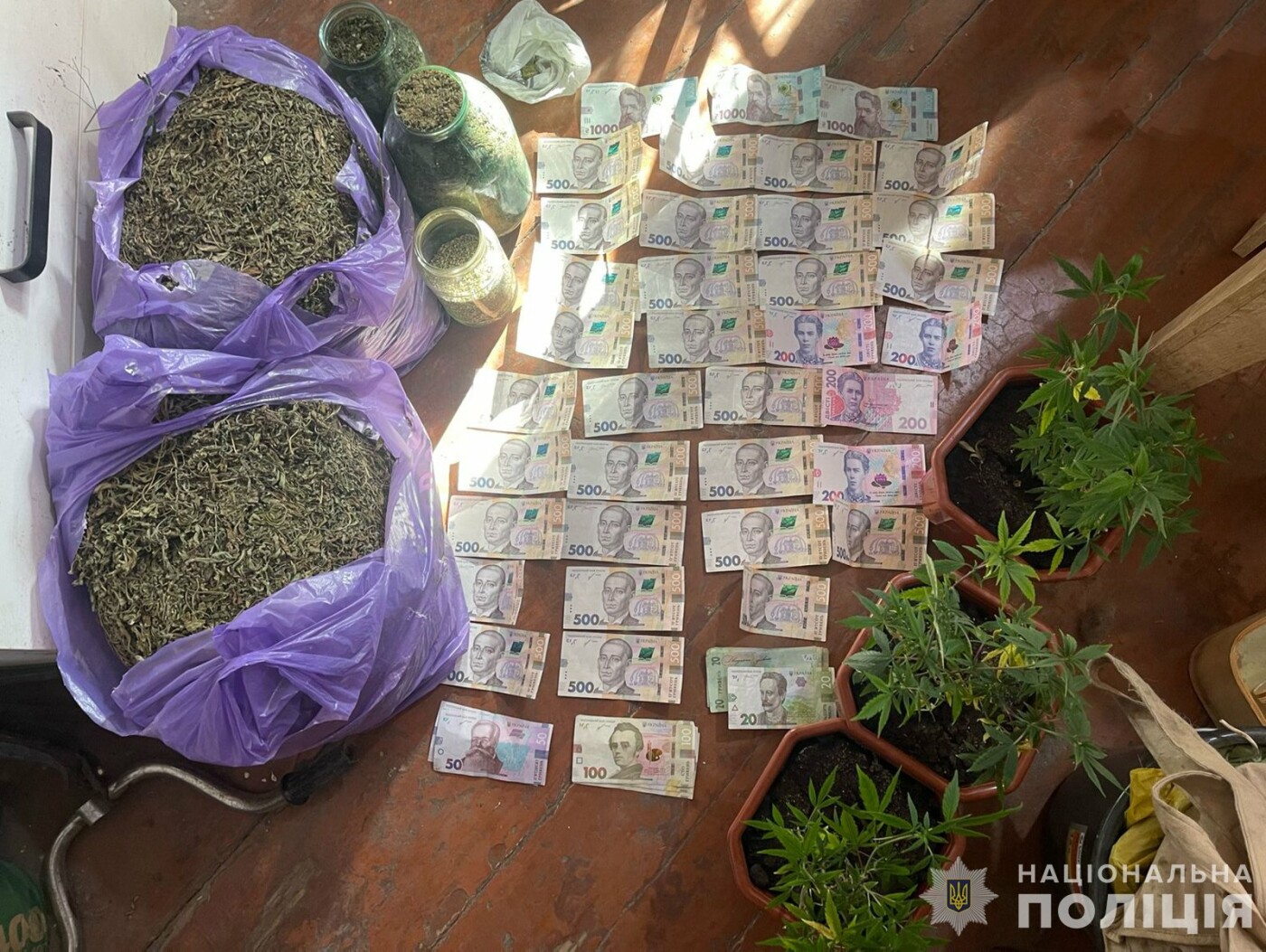 У жителя Запорожья изъяли наркотики.jpg