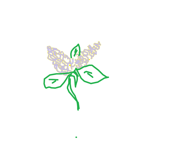 Untitled.png