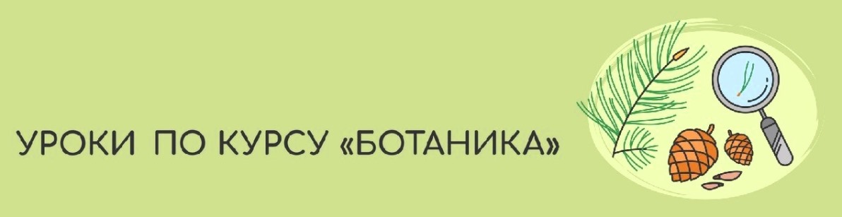 Уроки Ботаники в Школе 300.jpg