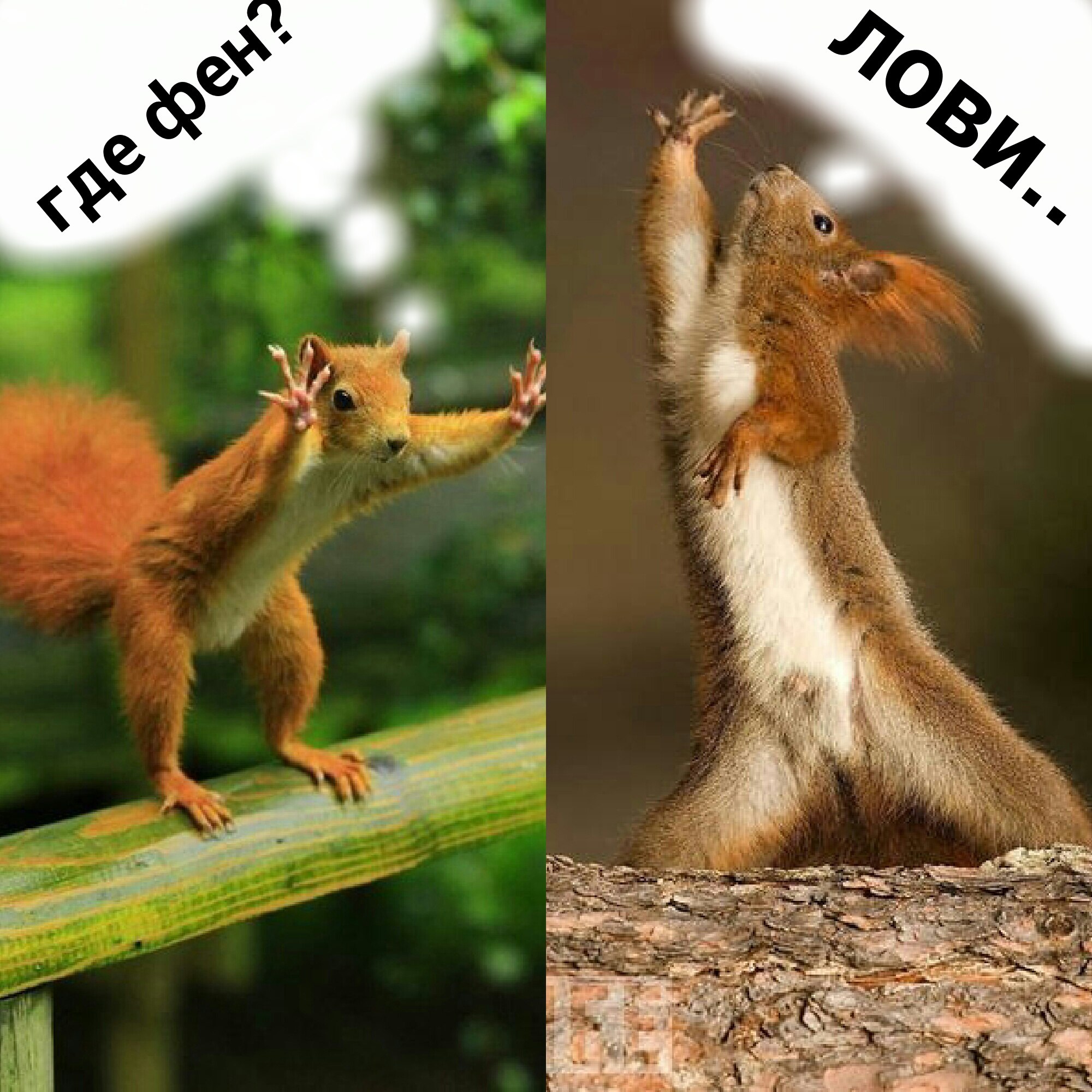 uWaw3h39978.jpg