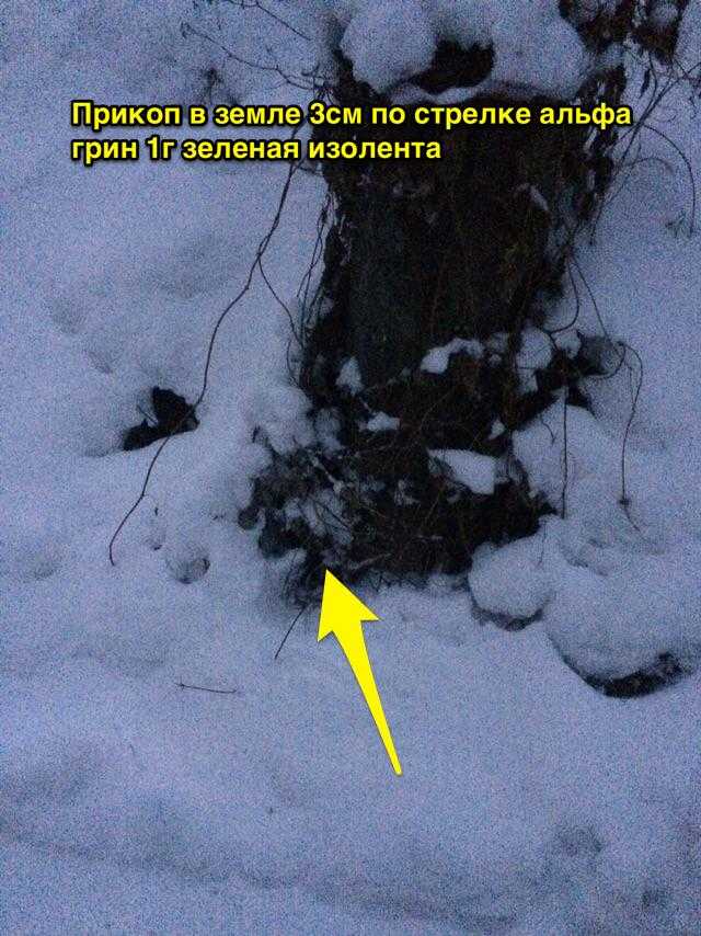 uykvqUC_d.jpg