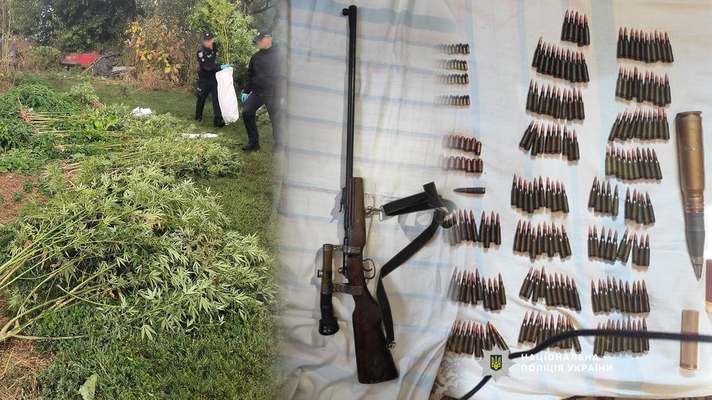 В четырех районах Черниговщины правоохранители изъяли 160 кустов конопли, 100 растений мака, 1...jpg
