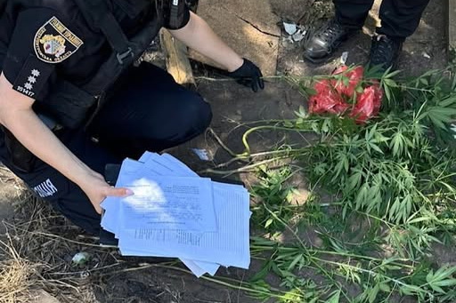 В Днепре полицейские разоблачили мужчину в выращивании конопли.jpg