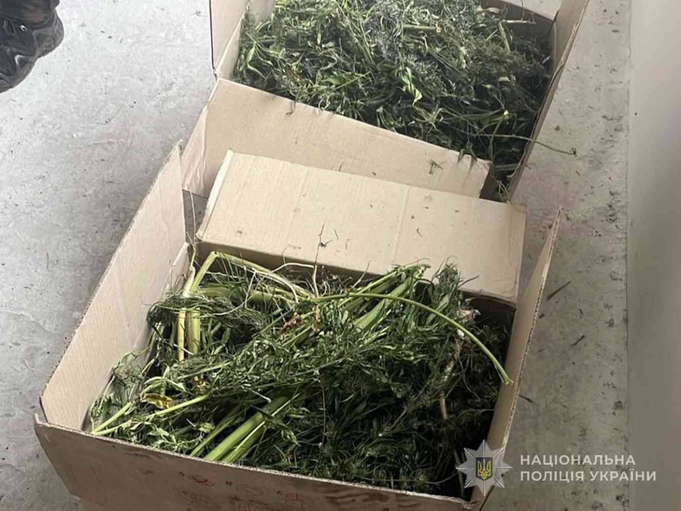 В Глухове у наркоагрария изъяли 3 кило травки.jpg