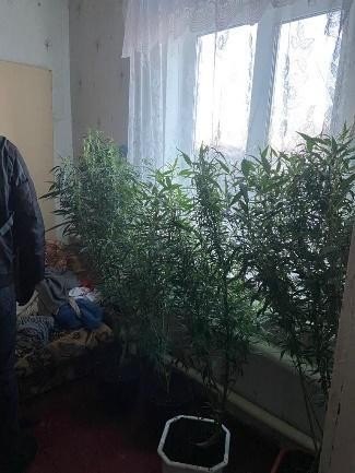 vAU59YYjId43tLFKFRSiytRgR.jpg