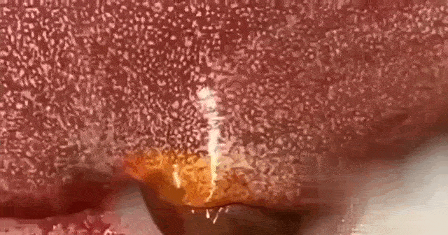 video_2025-02-12_16-45-48.gif