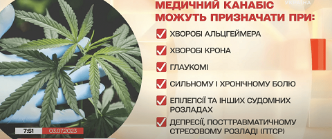 внп.png