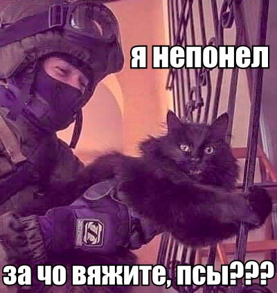 VQOWwu6Pjng.jpg