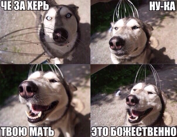 вра.jpg