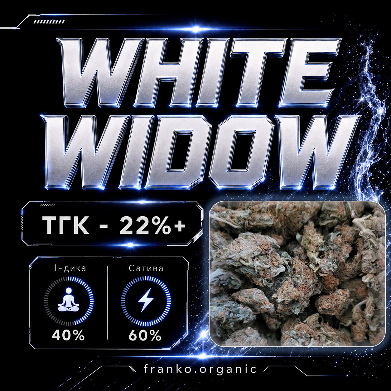 WHITEWIDOW.jpg
