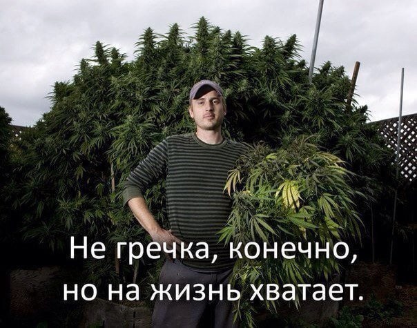 WYKdjO8HLFI.jpg