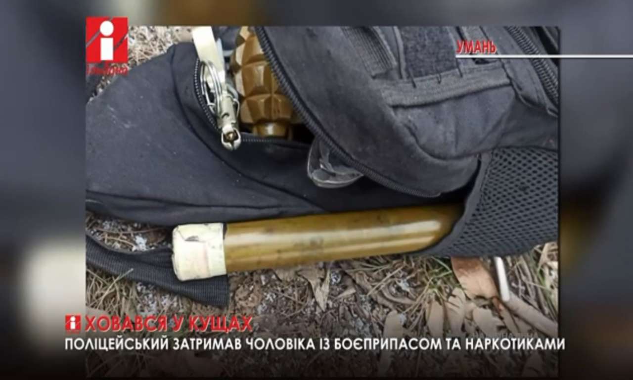 ховав в кущ.jpg