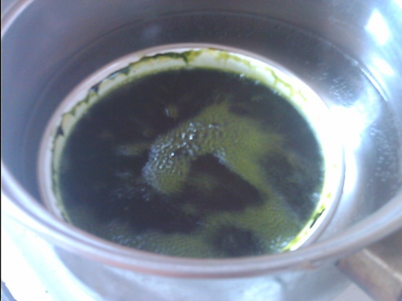 y_75911f24.jpg