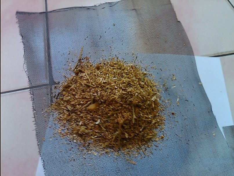y_8b019210.jpg