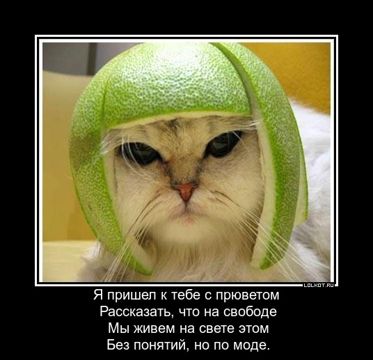 ya-prishel-k-tebe-s-privetom_1363776214.jpg