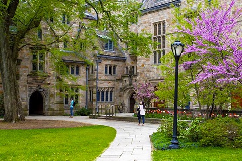 YALE.jpg
