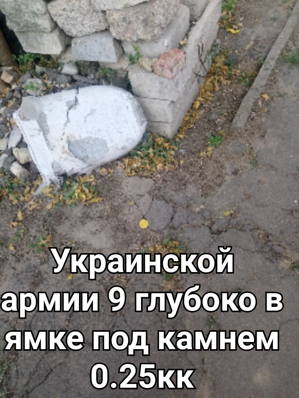 -yXrQJIYgnM7T-dcNwxXam_QB90ZzknJ.jpg