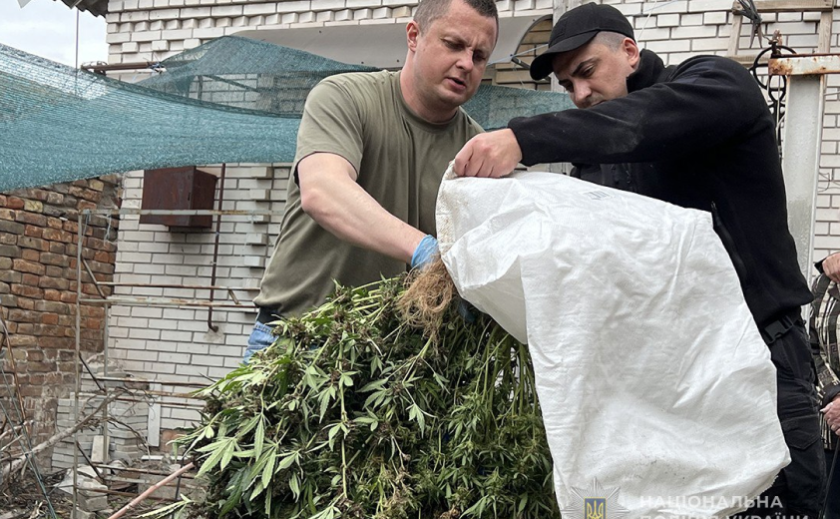 запорожье наркотики новости.png