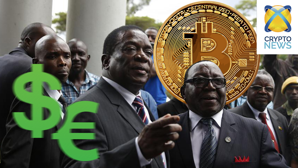 zimba1.jpg