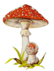 IMG_7842.PNG