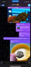 IMG_5660.jpeg