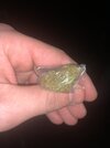 IMG_1703.jpeg