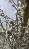 20250414_120408.jpg