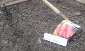 20250414_161649.jpg