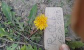 20250415_171234.jpg