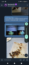 Screenshot_20250416-223934.png