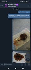 Screenshot_20250416-223926.png