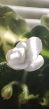 IMG_20250418_164752.jpg
