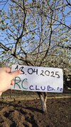 20250418_181955.jpg