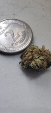 IMG_20250419_175818.jpg