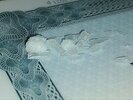 IMG_4948.jpeg