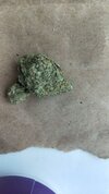 IMG_3405.jpeg
