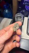 IMG_3387.jpeg