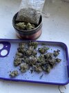 IMG_0017.jpeg